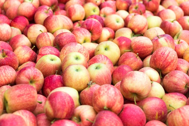 Haufen roter frischer Äpfel