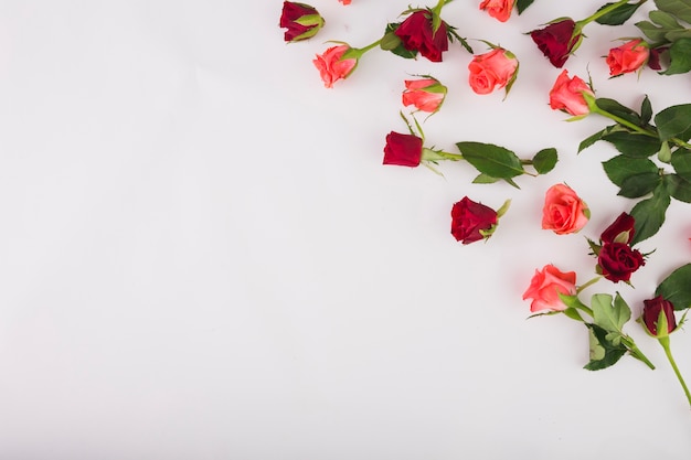 Kostenloses Foto haufen von schönen rosen