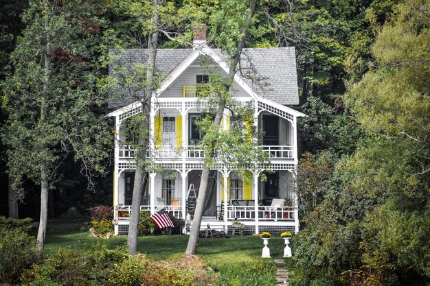 Haus in einem Wald, der tagsüber unter dem Sonnenlicht im Grünen bedeckt ist