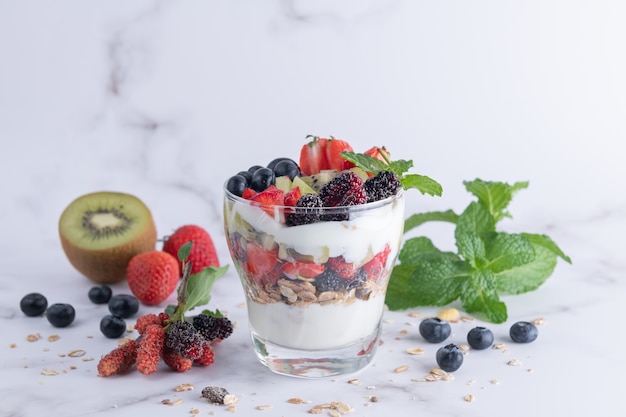 Hausgemachtes Müsli, Schüssel Hafergranola mit Joghurt, frische Blaubeeren, Maulbeere, Erdbeeren, Kiwi, Minze und Nussbrett für gesundes Frühstück, Kopierraum. Gesundes Frühstückskonzept. Sauber essen.