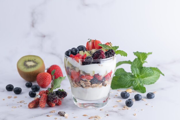 Hausgemachtes Müsli, Schüssel Hafergranola mit Joghurt, frische Blaubeeren, Maulbeere, Erdbeeren, Kiwi, Minze und Nussbrett für gesundes Frühstück, Kopierraum. Gesundes Frühstückskonzept. Sauber essen.