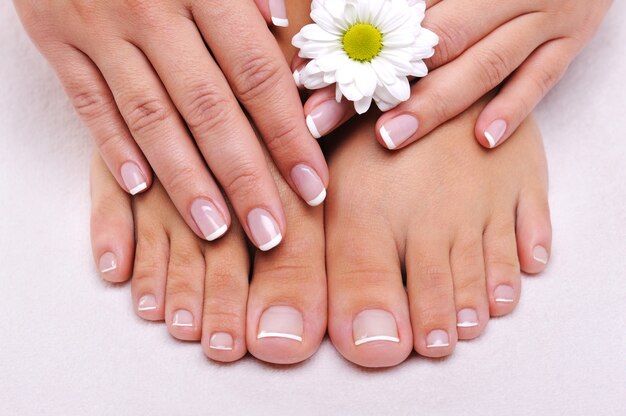 Hautpflege einer Schönheit weiblicher Füße mit Kamille Blume