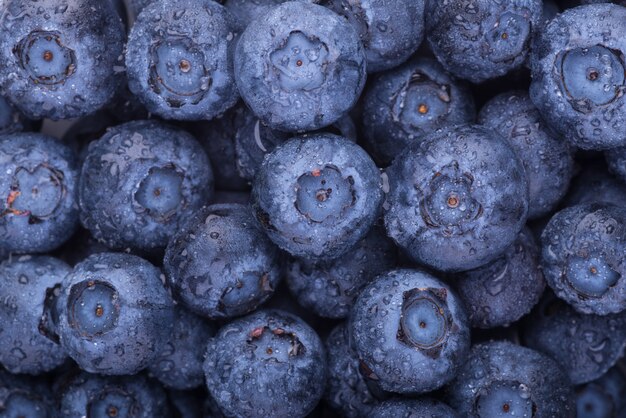 Heidelbeeren Draufsicht