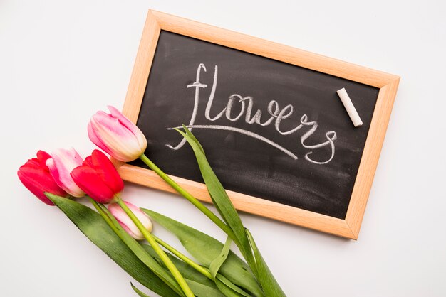 Helle frische Blüte auf Stielen in der Nähe von Tafel mit Blumentitel