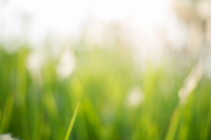 Kostenlose Foto hellen hintergrund landschaftlich tag umwelt