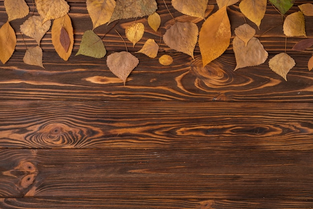 Kostenloses Foto herbst-arrangement mit abgefallenen blättern