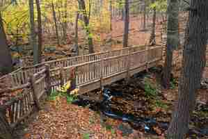 Kostenloses Foto herbst-brücke