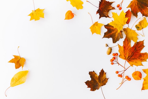 Herbst flach legen Hintergrund auf Weiß