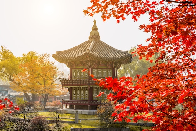 Herbst im Gyeongbokgung-Palast, Seoul in Südkorea