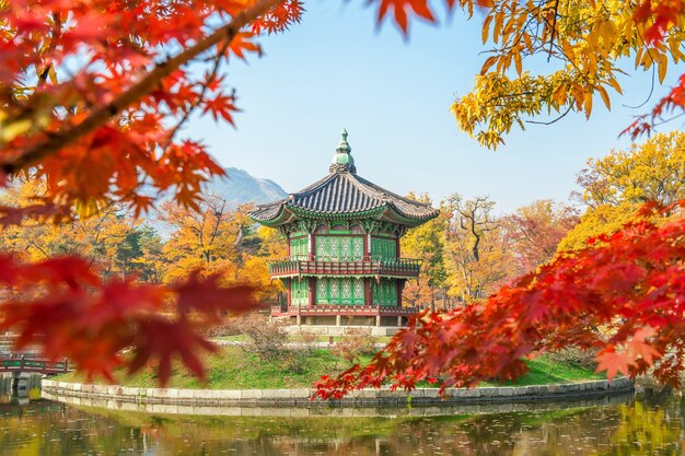 Herbst im Gyeongbukgung-Palast, Korea.