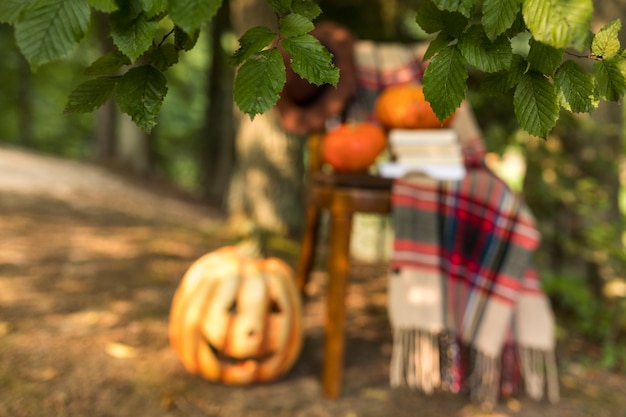 Herbstanordnung mit Decke und Kürbisen auf Stuhl
