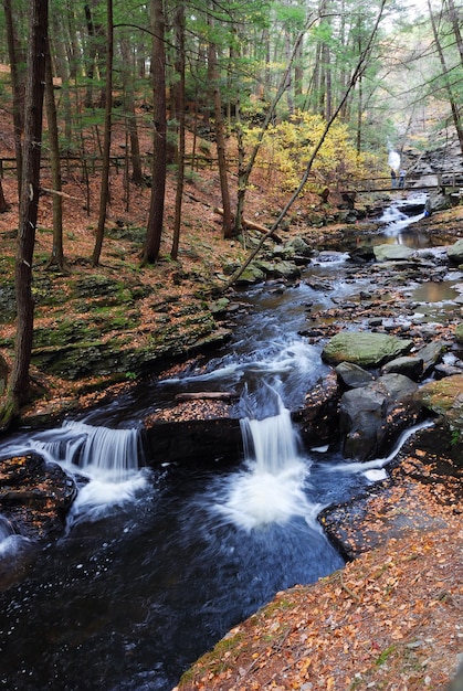 Herbstbach im Wald mit Laub