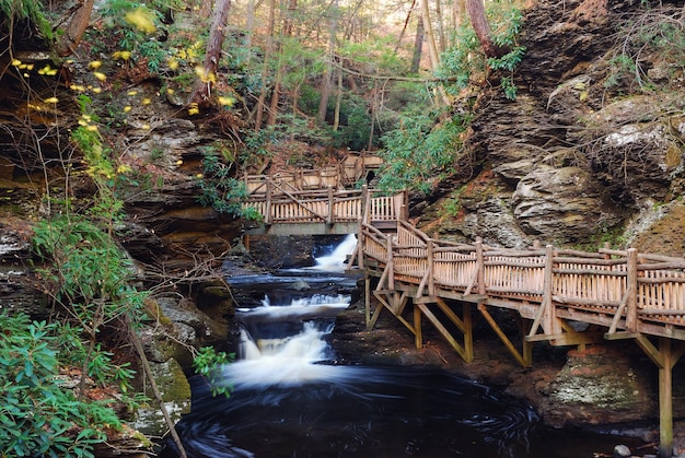 Herbstbach mit Wanderwegen und Laub