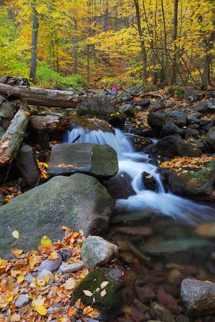 Kostenloses Foto herbstbach