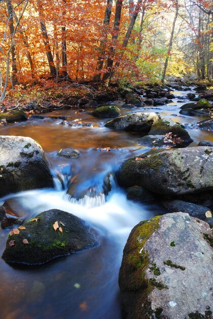 Herbstbachlaub und -felsen