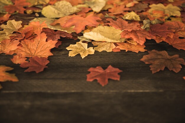 Herbstblätter, die auf Tabelle liegen