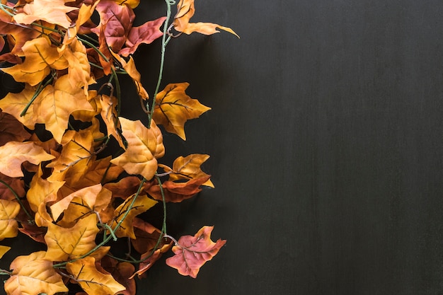 Herbstblätter Zusammensetzung