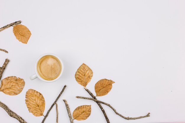 Herbstblätter; Zweig und Kaffeetasse lokalisiert auf weißem Hintergrund