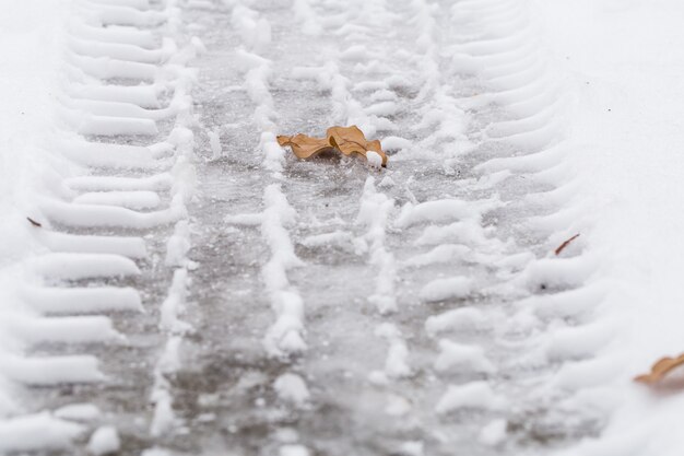 Herbstblatt auf Schnee, die Reifenspuren.