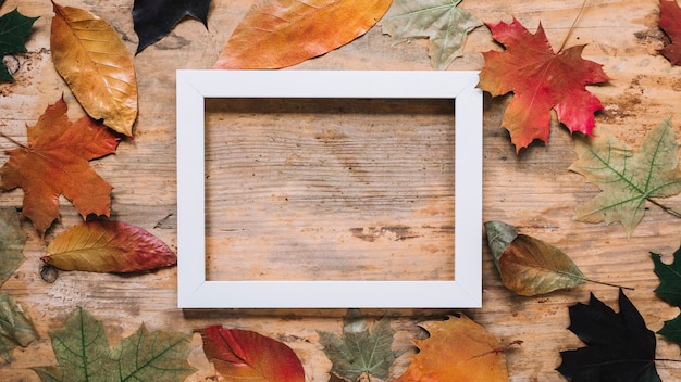 Kostenloses Foto herbstblattaufbau mit bilderrahmen