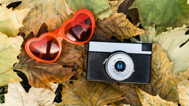 Herbstgesteck mit Kamera und herzförmiger Brille