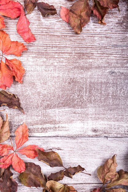 Herbsthintergrund mit roten Blättern und Kopienraum verfügbar