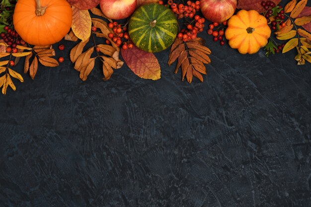 Bilder Herbst Hintergrund Gratis Vektoren Fotos Und Psds