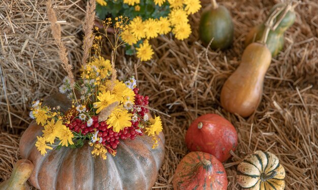 Herbstkomposition mit Kürbissen im rustikalen Stil