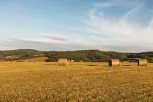 Kostenloses Foto herbstkonzept mit großen rollen von heuen