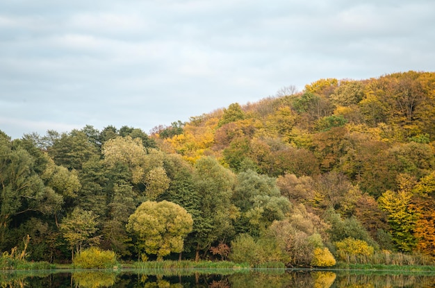 Herbstlandschaft mit einem Wald über einem natürlichen Hintergrund des Sees