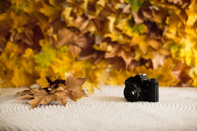 Herbstlaub hintergrundmodell mit fotokamera