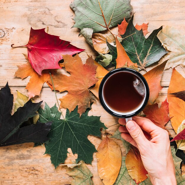 Herbstlaub und Tasse Tee auf hölzernem Hintergrund