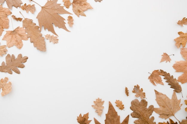 Herbstlaubebenenlage mit Kopienraum