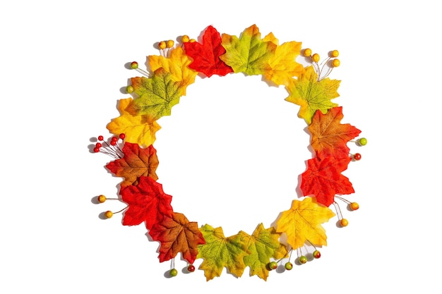 Herbstrahmenzusammensetzung, lokalisiert auf weißem hintergrund. ein kranz aus bunten ahornblättern und beeren, flach gelegt