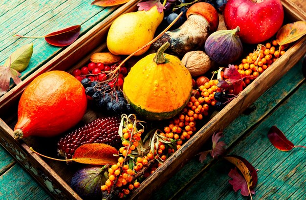 Herbststillleben mit kürbissen, pilzen, äpfeln, feigen und beeren. saisonale herbstliche speisen