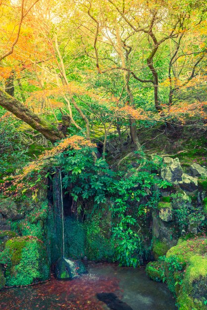 Herbstwald mit Fluss (gefiltertes Bild verarbeitet Jahrgang effe