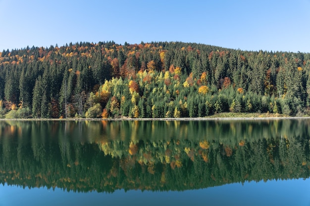 Herbstwald und See in einem natürlichen Hintergrund der Bergregion