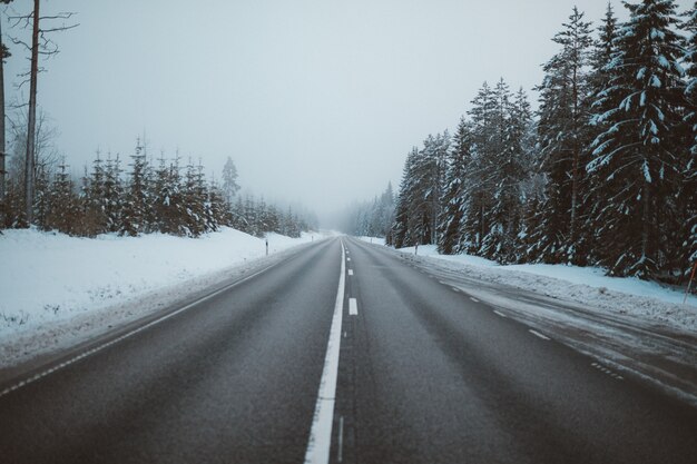 Herrlicher Blick auf eine Straße, umgeben von Bäumen auf schneebedeckten Feldern, die in Schweden gefangen genommen wurden