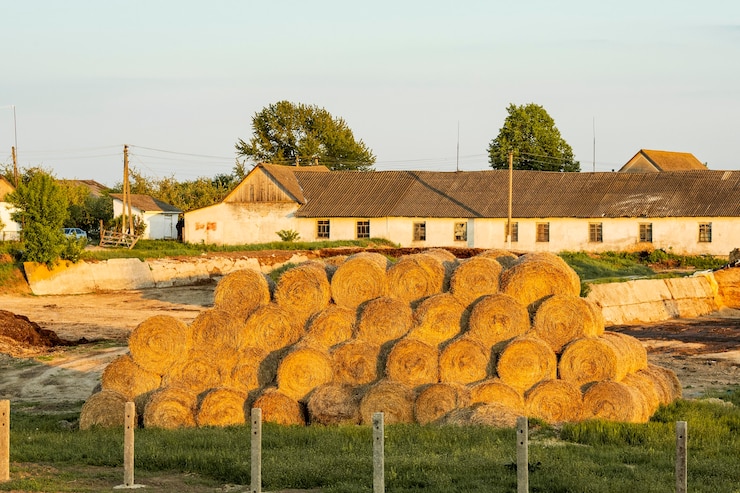 Kostenlose Foto heuballen auf dem land