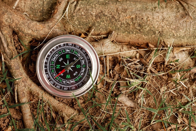 High Angle Compass neben Baum