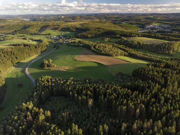 High Angle Shot der schönen grünen Felder, umgeben von Bäumen unter dem bewölkten Himmel