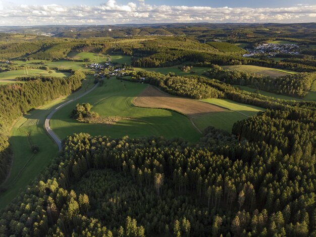 High Angle Shot der schönen grünen Felder, umgeben von Bäumen unter dem bewölkten Himmel