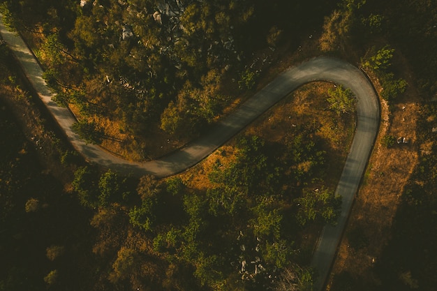 High Angle Shot einer kurvigen Straße, umgeben von vielen schönen Bäumen in Esposende