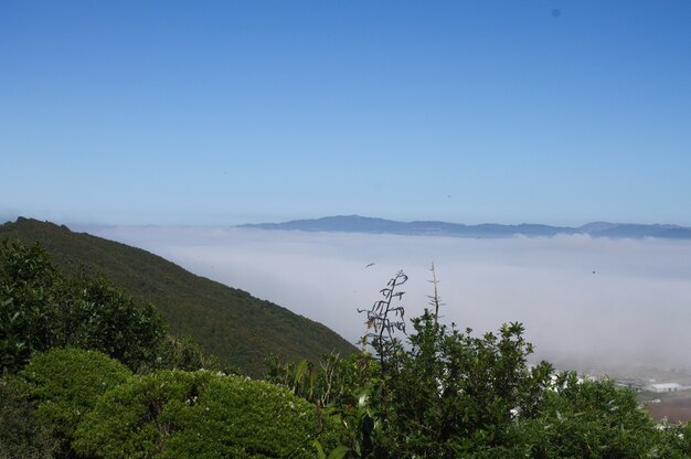 High Angle Shot von Hutt Valley in Neuseeland mit Nebel bedeckt