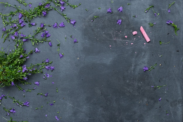 High Angle Shot von lila Blumen verteilt auf einer schwarzen Oberfläche mit einer rosa Kreide