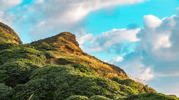 Kostenloses Foto hikurangi takatu head berg bei piha