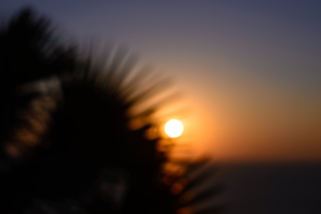 Himmel Landschaft Küste Silhouette im Freien