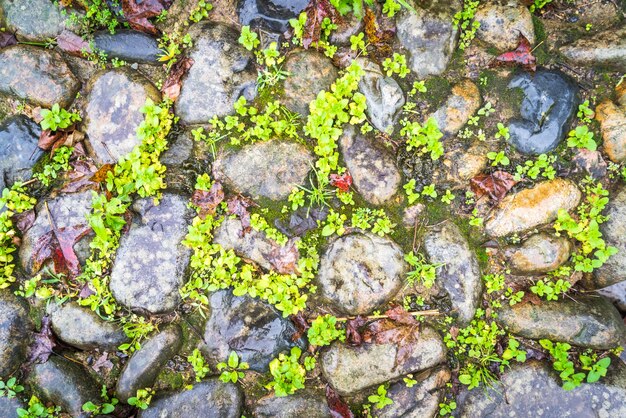 Hintergründe Von Pebble Gehweg