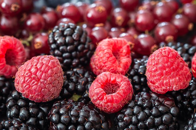 Hintergrund aus einer Mischung aus verschiedenen Beeren Makrofotografie