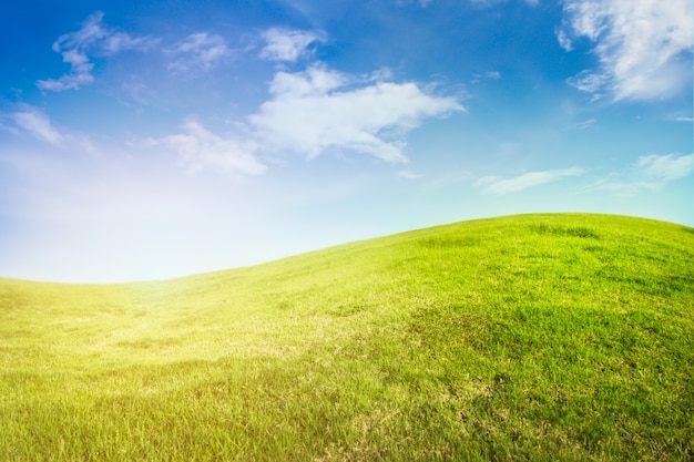 Hintergrund der Kurve Grassland auf blauem Himmel mit Sonnenlicht.